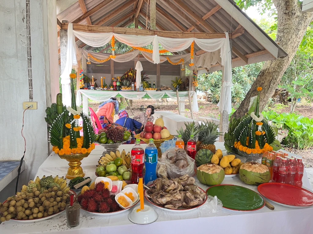 catalogs_file_257_39_42_266693.webp