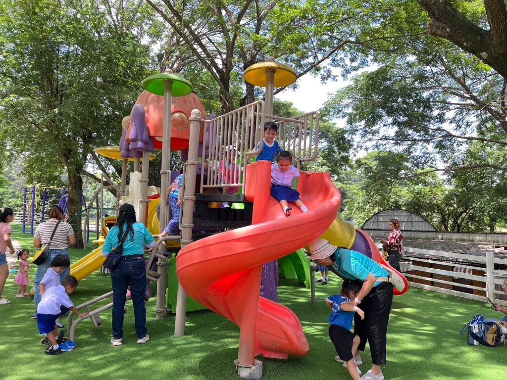 catalogs_file_293_41_55_665492.webp