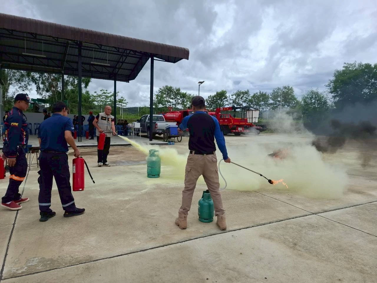 catalogs_file_441_47_15_993420.webp